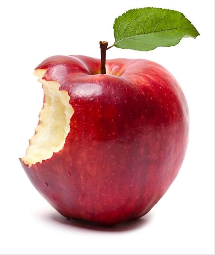 Muşcă